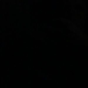 Meet your Posher, Carson